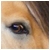 :iconjustarainboow: