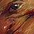 :iconjustaway: