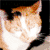 :iconjustcallmetracymymom:
