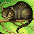 :iconjustines-attic: