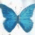 :iconjustinnet: