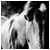 :iconjustinsphotography: