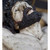 :iconjustinwelch: