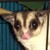 :iconjustjessica91: