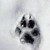 :iconjustlikesnow: