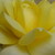 :iconjustmywork: