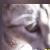 :iconjustonemorelog: