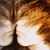 :iconjustpresstokill: