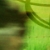 :iconjustregency: