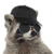 :iconjustxiil: