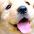 :iconjuuriharuka: