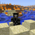 :iconjuvenile-canopy:
