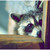 :iconjuveny2: