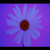 :iconjwall77: