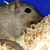 Jwells0326 :iconjwells0326: