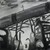 :iconjwhiz:
