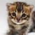 jwillis57 :iconjwillis57: