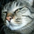 :iconjwm2: