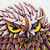 :iconjynxart: