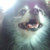 :iconjypsonite: