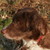 :iconjytte01: