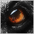 :iconk2boardin: