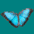 :iconk3dsmax: