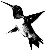 :iconk3nda77: