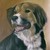 :iconk9art09: