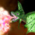 :iconk9spot: