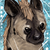 :iconk9spot:
