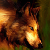 :iconK9WolfDog: