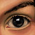 :iconk-a-d-l: