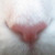 :iconk-anastazy: