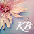 :iconk-bononos: