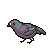 :iconK-Caki: