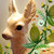 :iconk-caki: