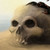 :iconk-cota: