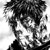 :iconk-dasshu: