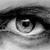 :iconk-dezign: