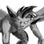 :iconk-lao: