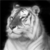 K-laus :iconk-laus: