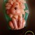 :iconk-nadin-s: