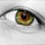 :iconk-pics: