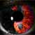 :iconk-pophoto: