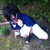 :iconkaagewolffang: