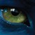 :iconkaamiiru: