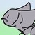 :iconkaanimage: