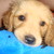 :iconkaay321: