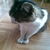 :iconkaaya0104: